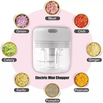 Mini Food Processor / chopper