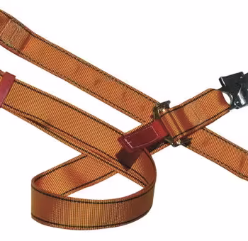 Protecta Work Positioning Lanyard
