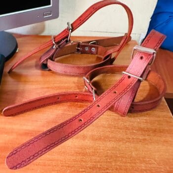 Leather Climbers Strap